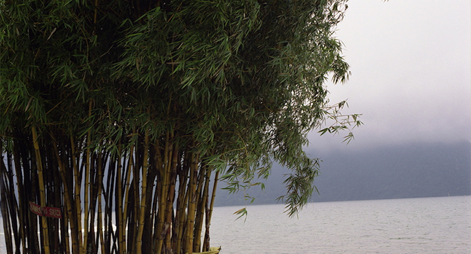 Danau Beratan, Bali (2007) - Credit: Leyla Stevens